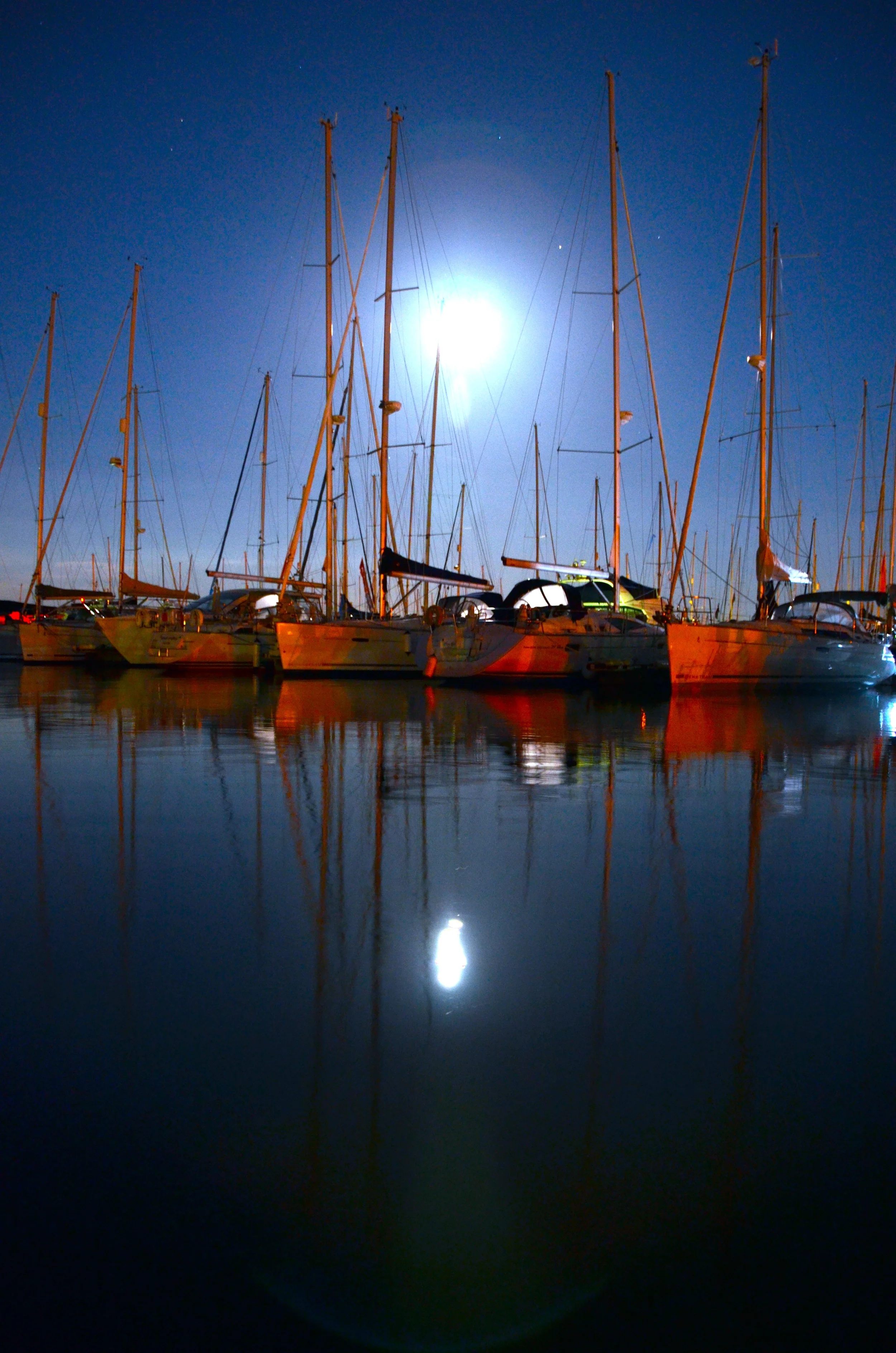 DSC_0820.jpg