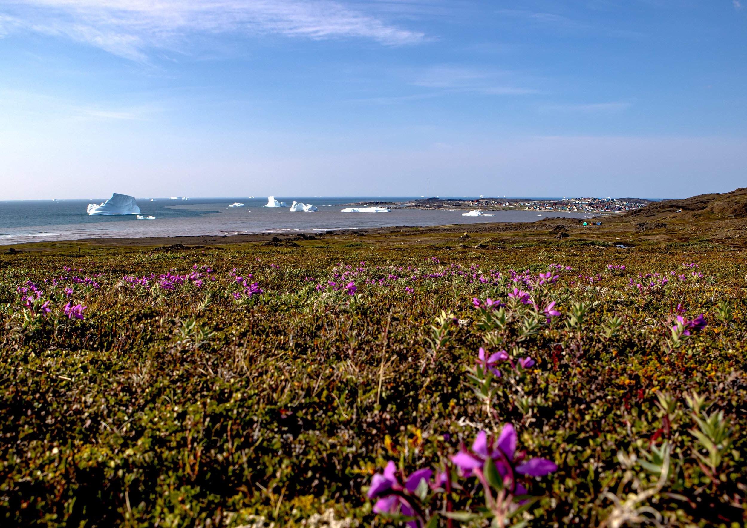 Qeqertarsuaq/Godhavn town
