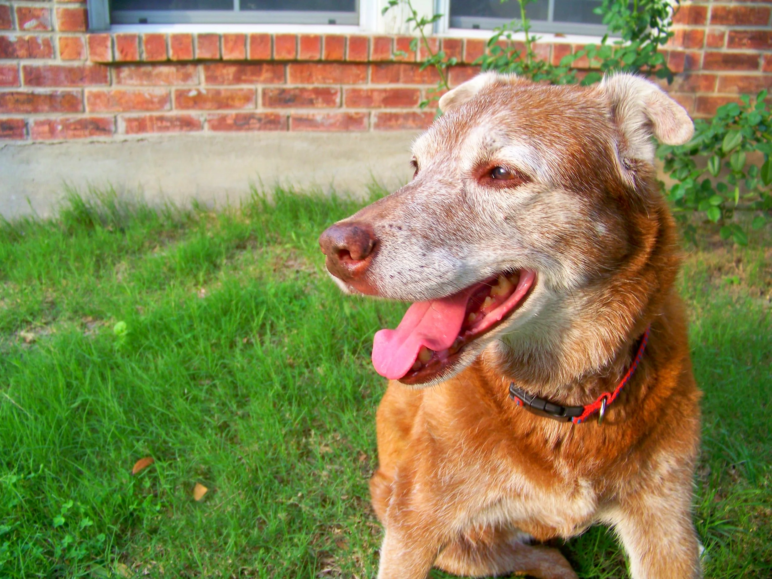 Emily Lynn Grimball 1997-2013