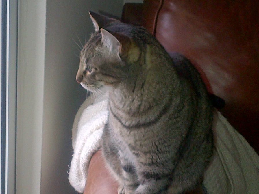 Isabella looking out of window.jpg