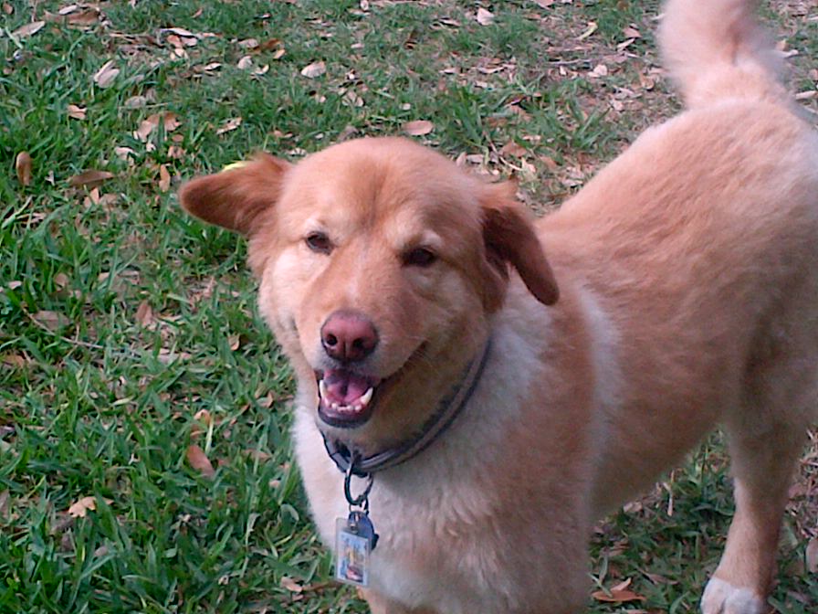 Luna- great smile.jpg