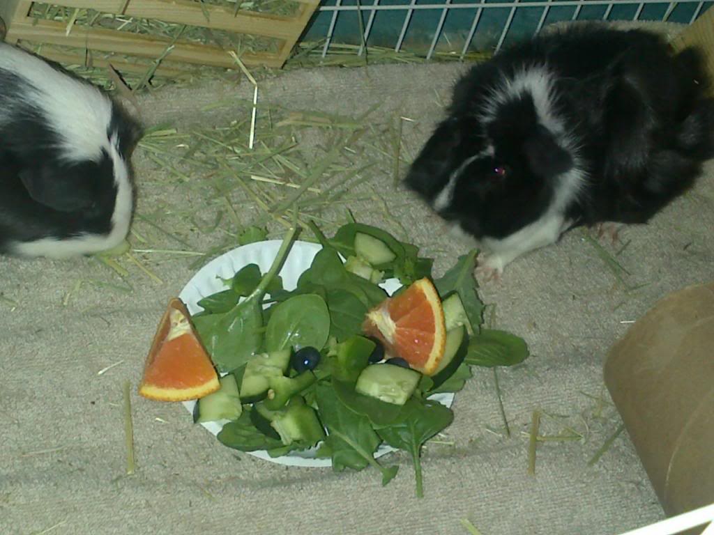 The Genui pics eating lunch.jpg