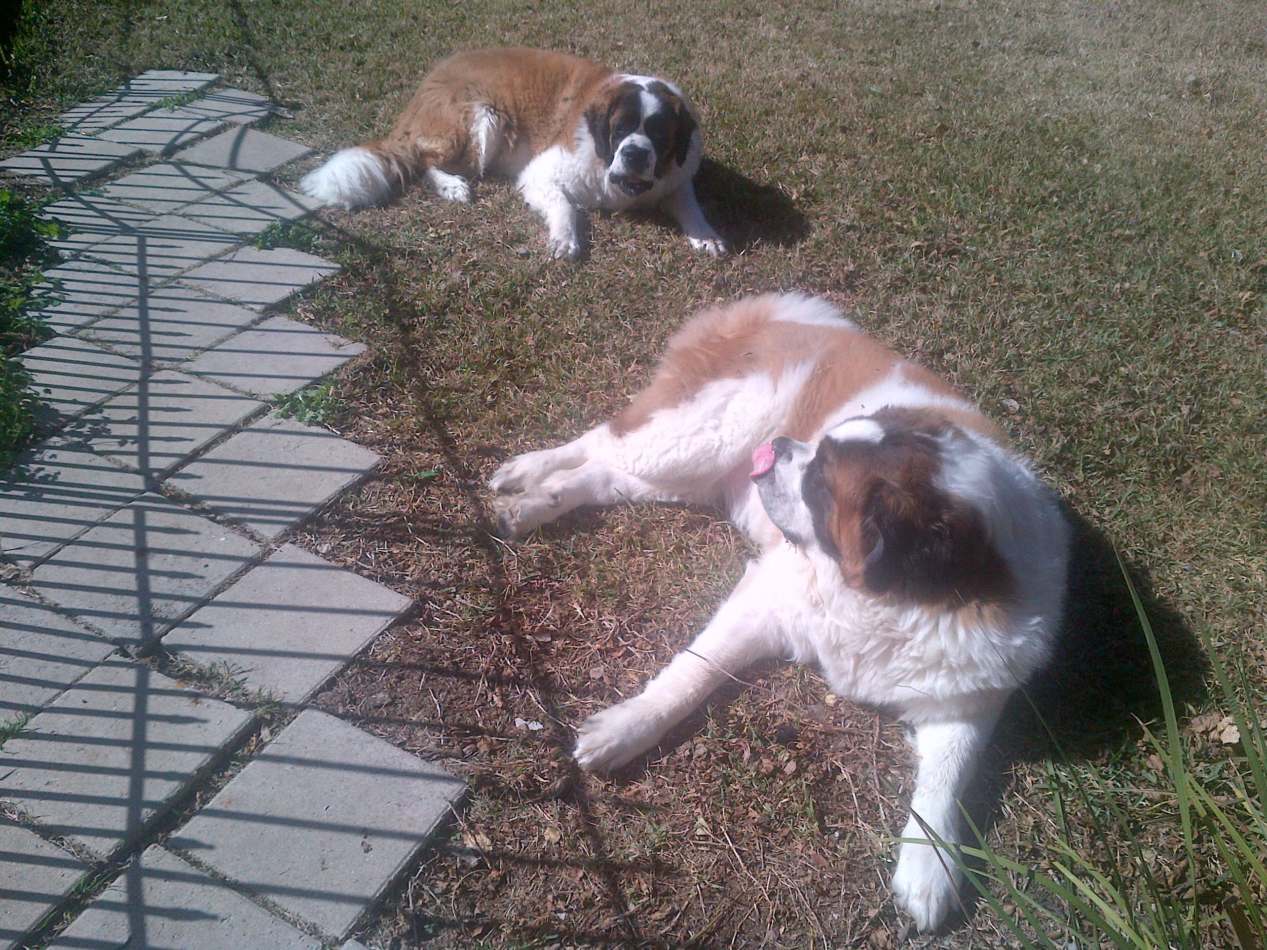 img-20140118-01416_14237087766_o.jpg