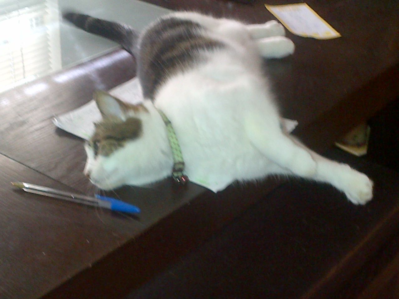 img-20140404-02055_14259771235_o.jpg