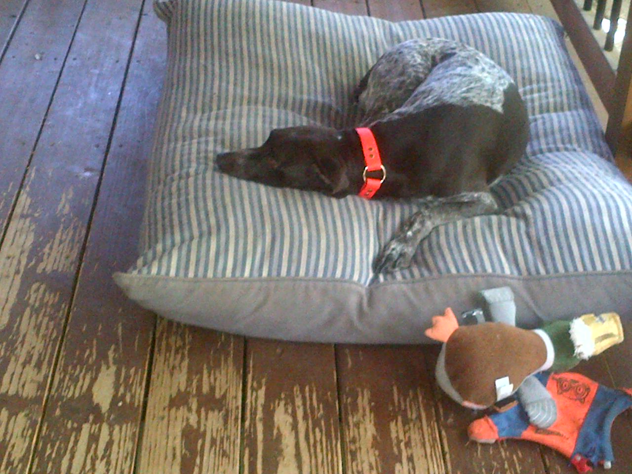 img-20140504-02540_14260166385_o.jpg