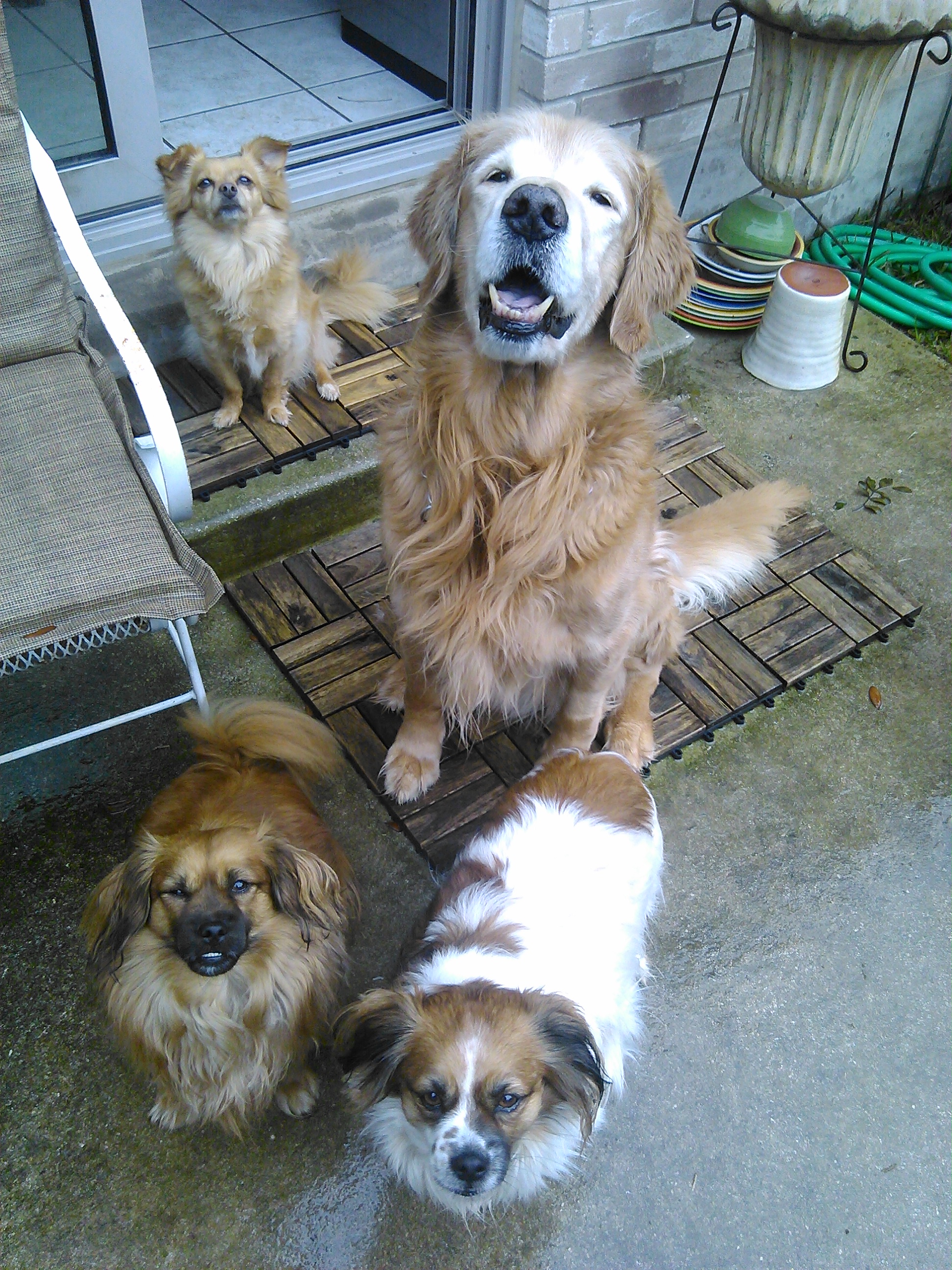 cody and fam.jpg