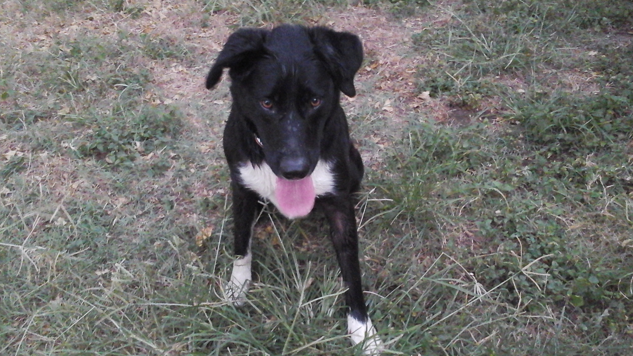 20150724_203649.jpg