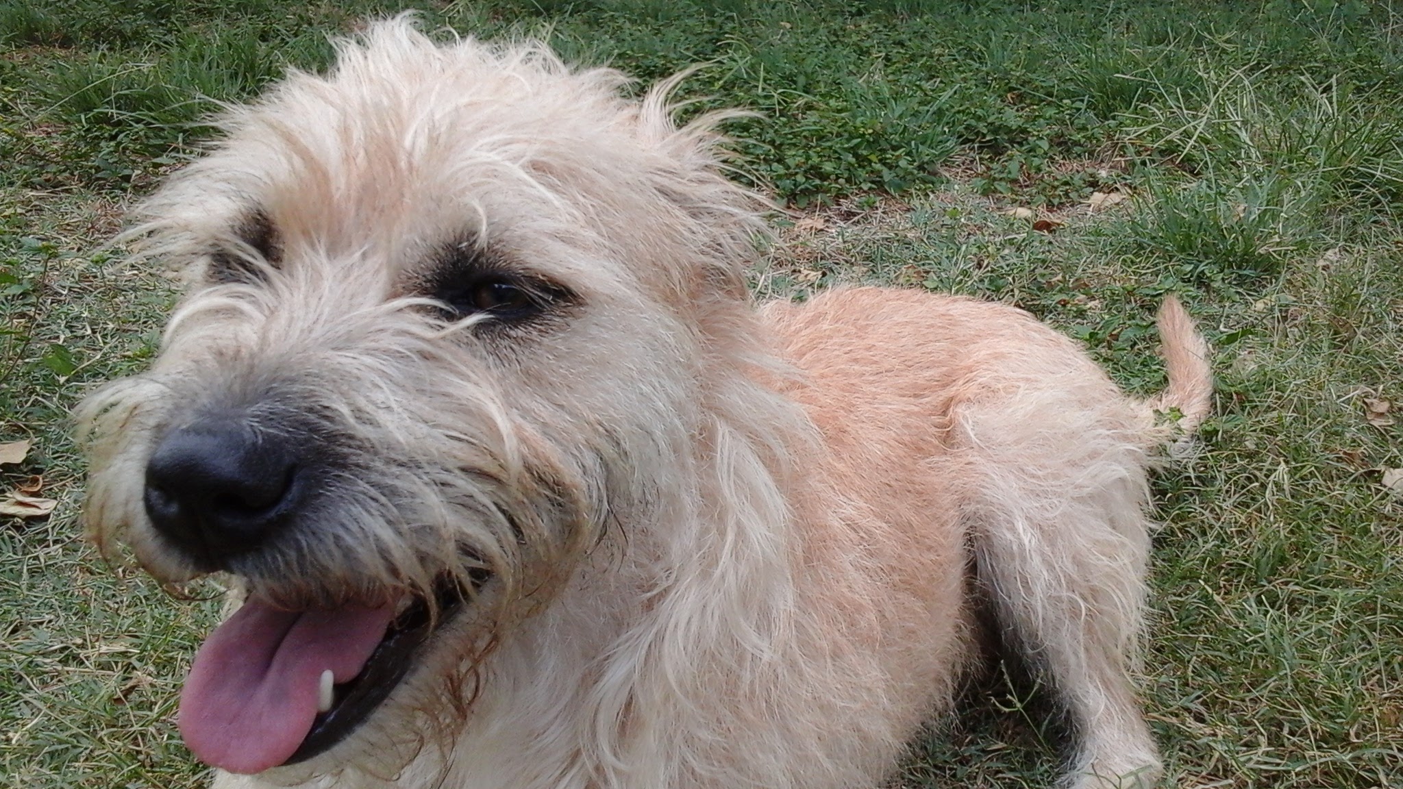20150725_085054.jpg