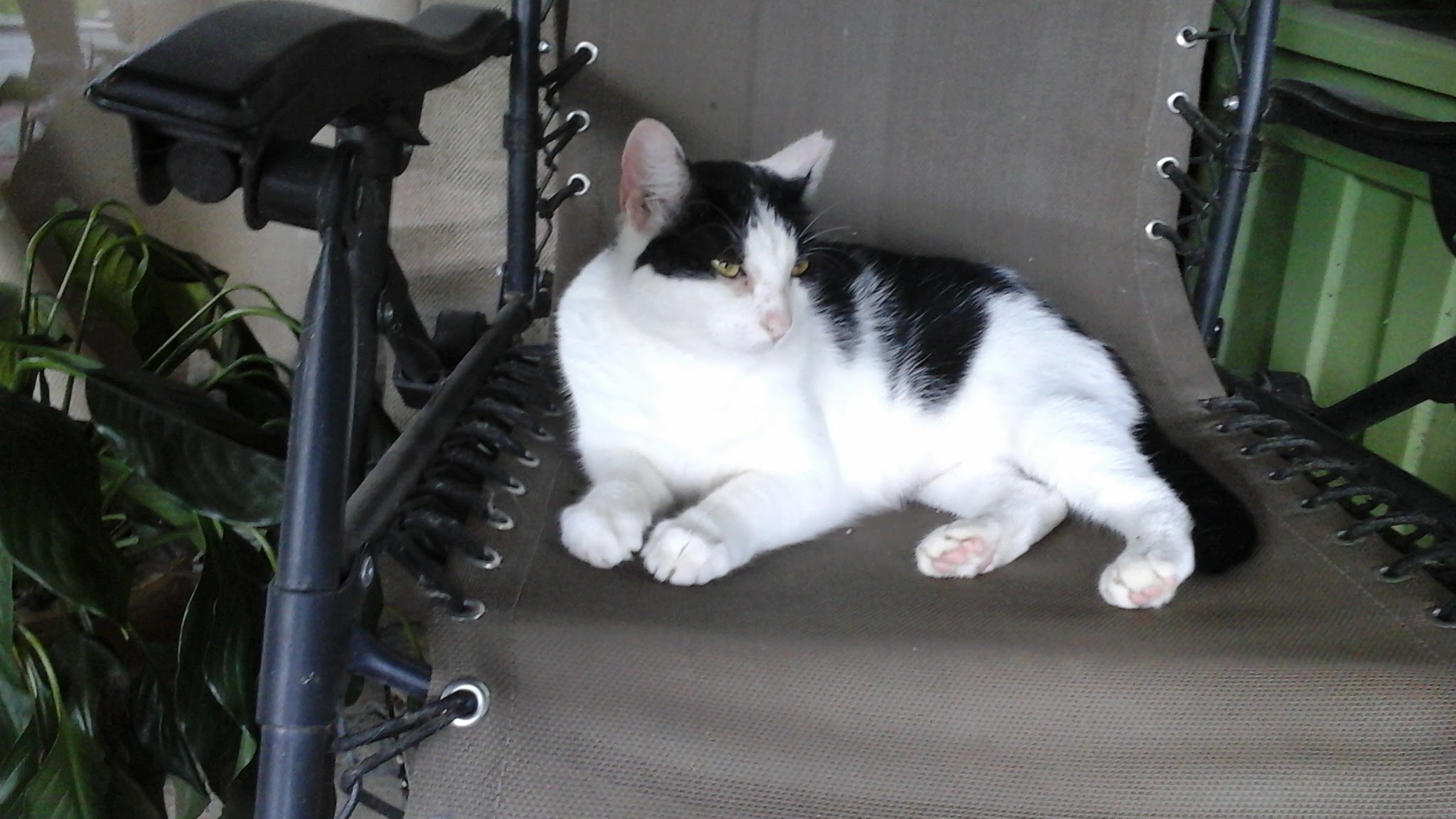 20150711_115932.jpg