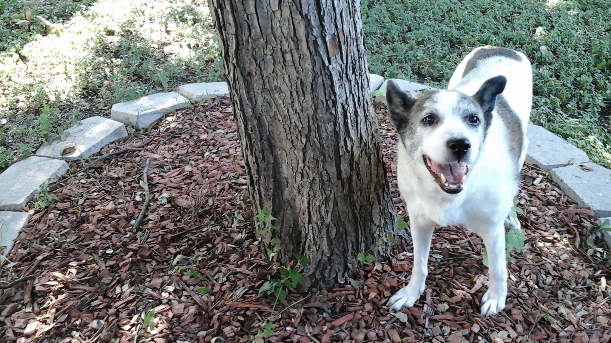 20150719_172143.jpg