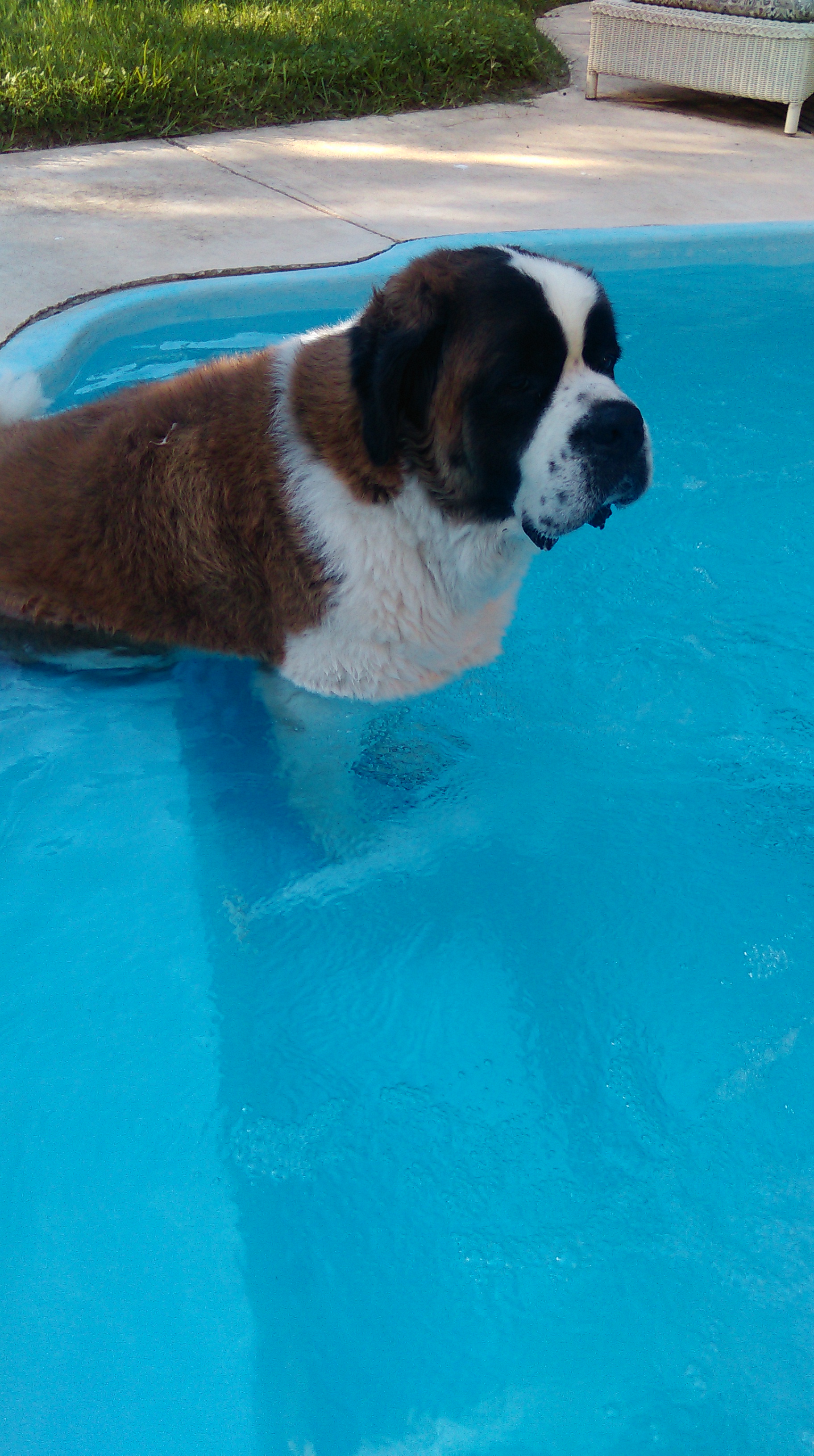 IMAG0283.jpg