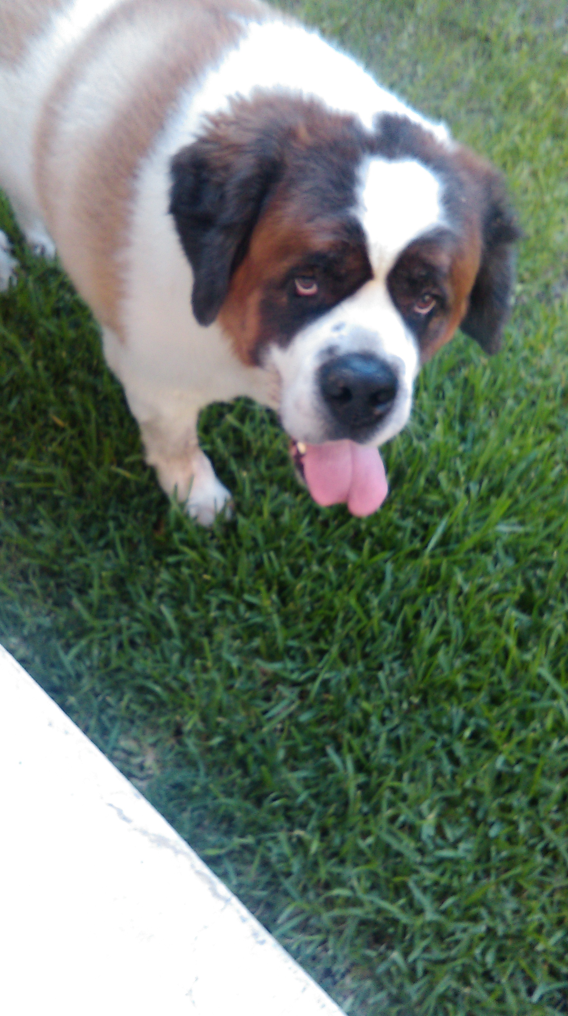 IMAG0284.jpg