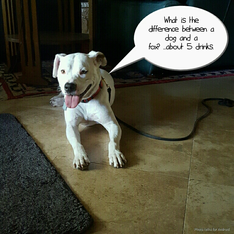Lola presents the joke of the day.
