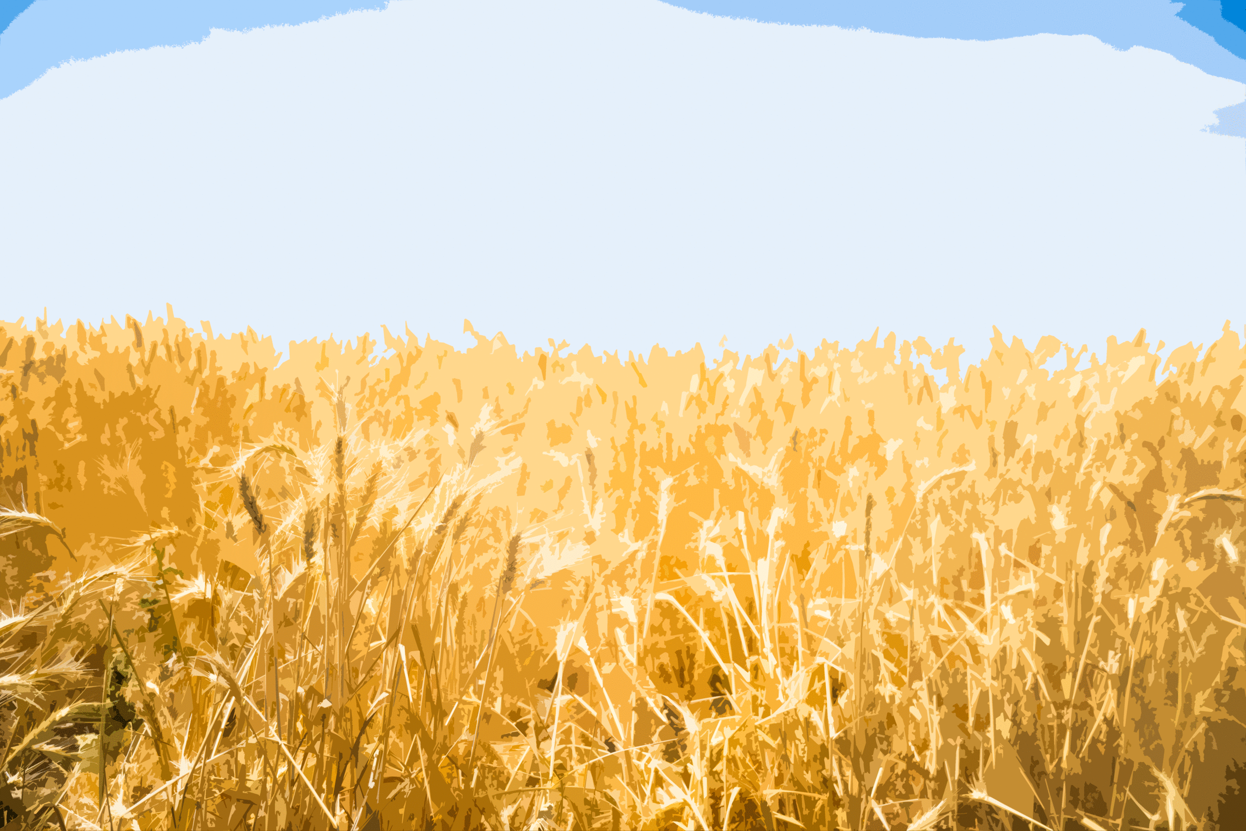 _DSC0783.gif
