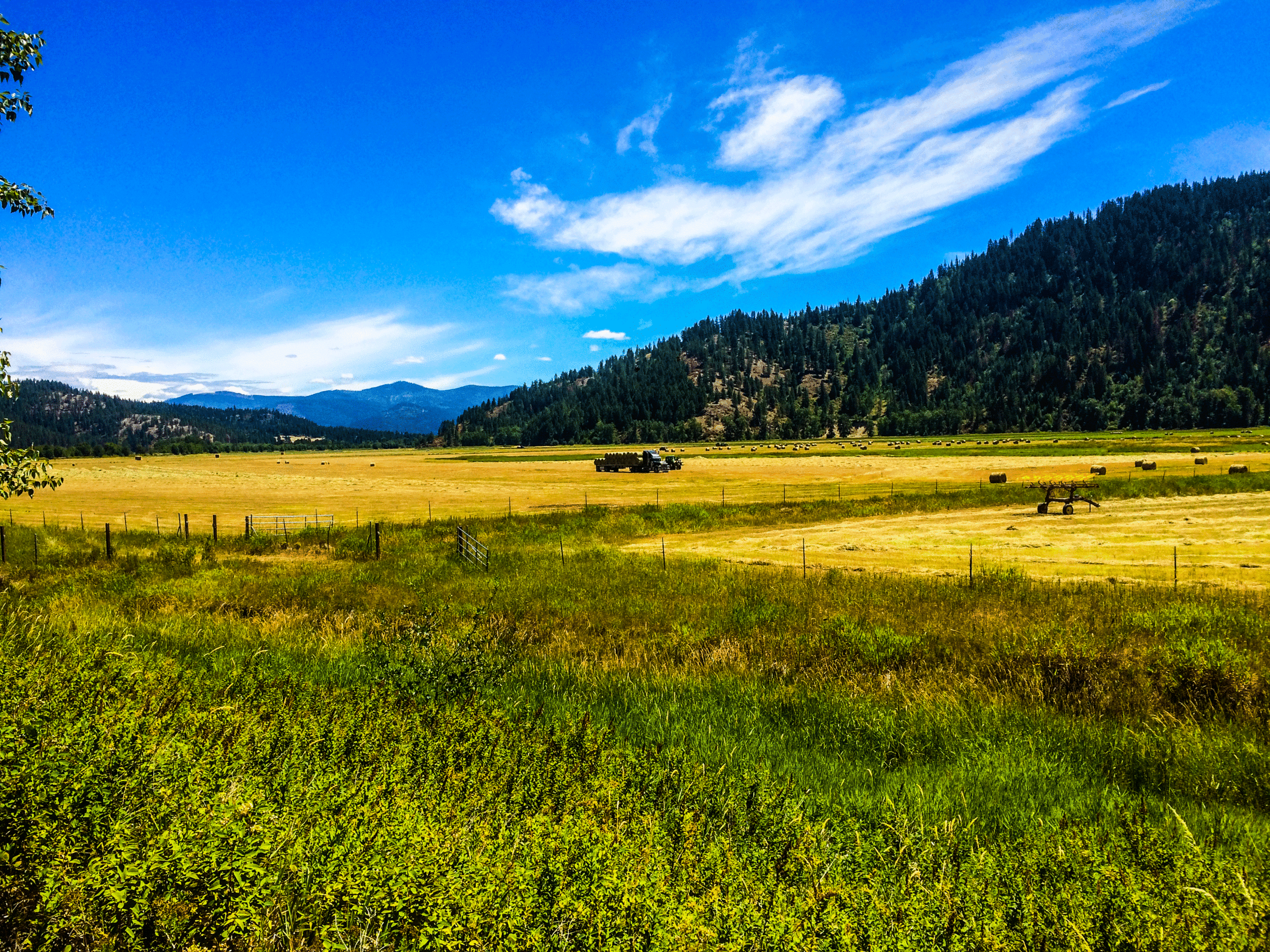 The Trail of the Coeur d'Alenes stretches a total of 71 miles across Idaho, spanning from right before the Washington boarder to the Montana boarder and following the Union Pacific Railroad. we road the trail for about 35 miles. It is quite the bike path.