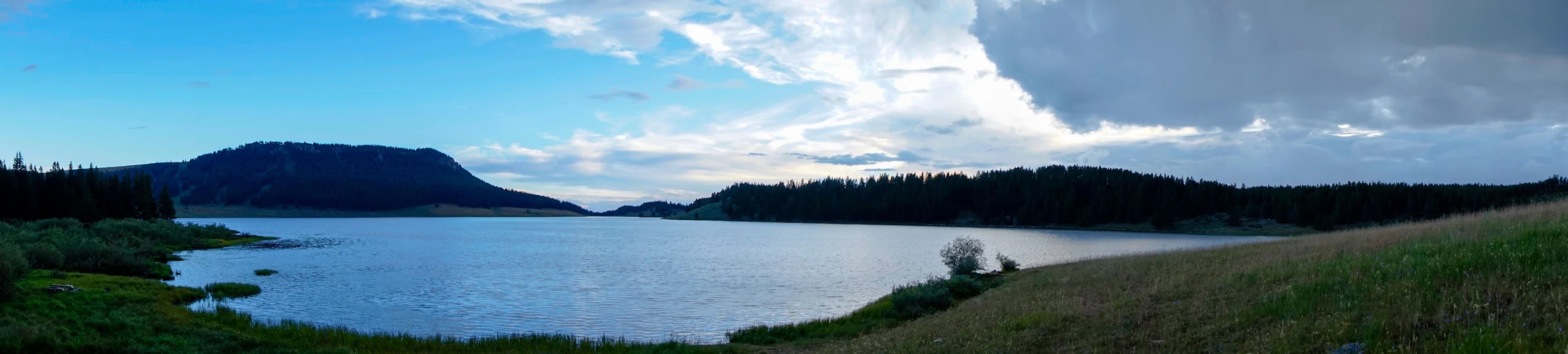 View of Meadowlark Lake before jumping in for a swim/ bath.