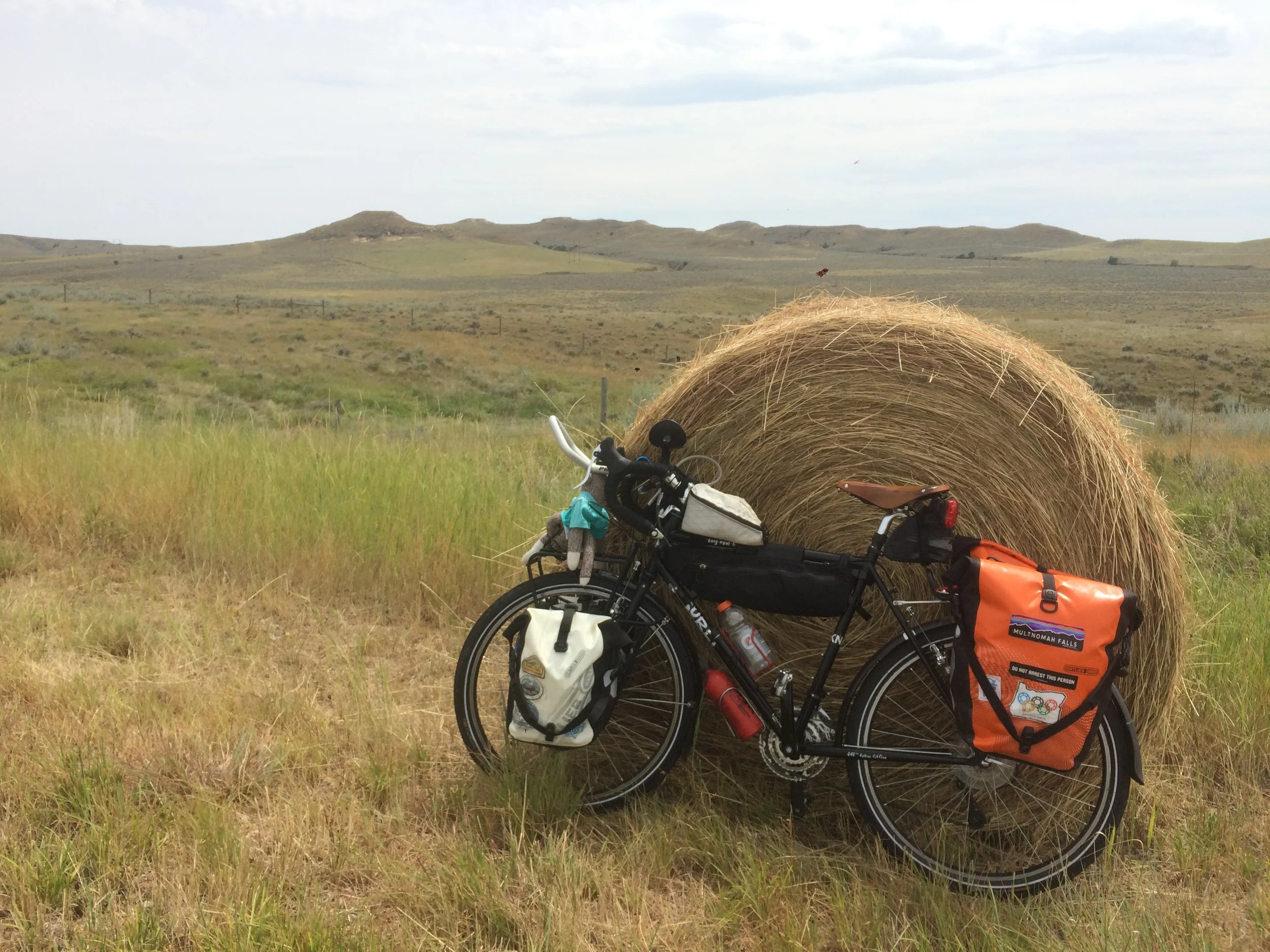 #TheyCallMeCrash part II