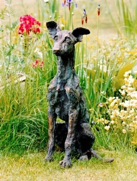 Whippet Puppy