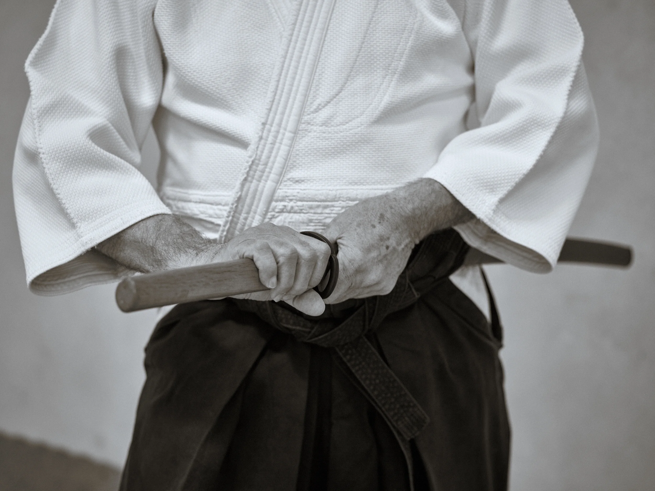Aikido_05.jpg