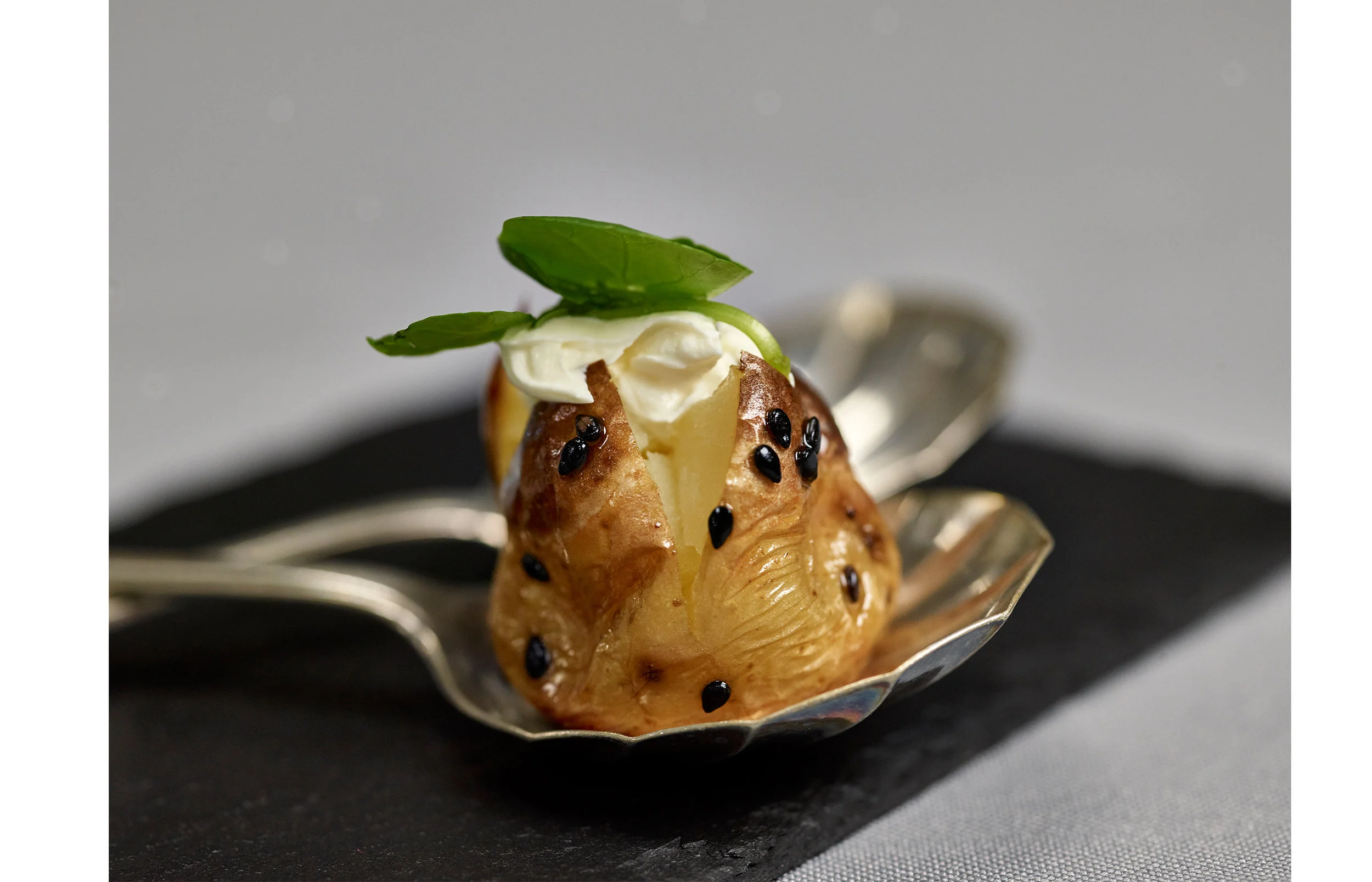 Whp-Food-010.jpg