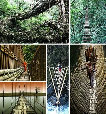Bridgescollage.jpg
