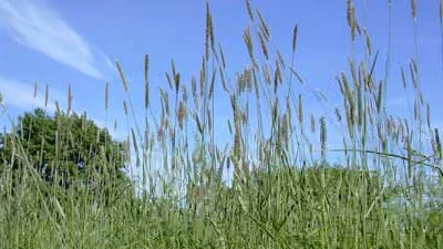 Der Biotoplehrpfad will dazu anregen, die Natur bewusster zu erleben und von einem anderen Blickwinkel zu sehen