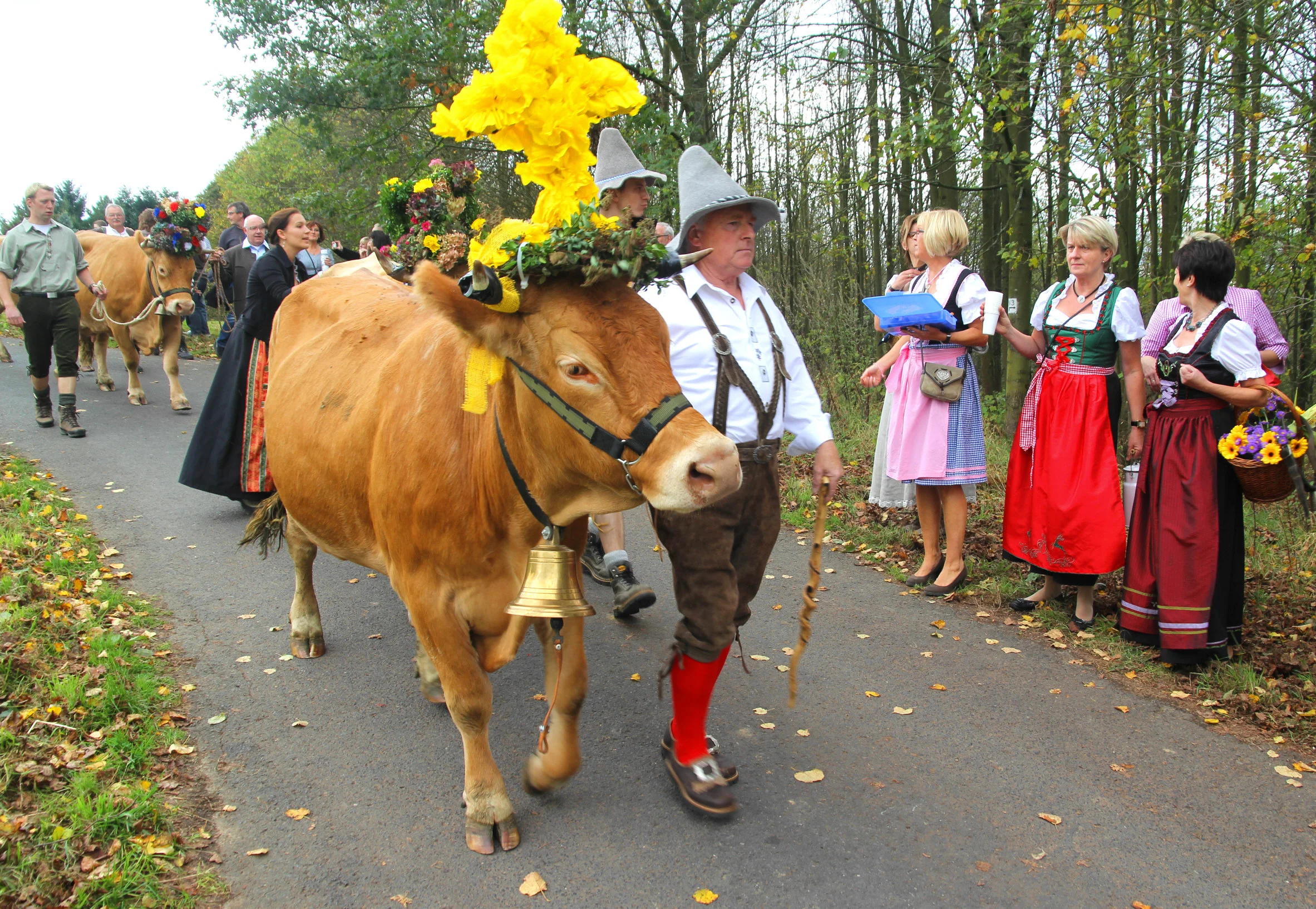 Almabtrieb 29.jpg