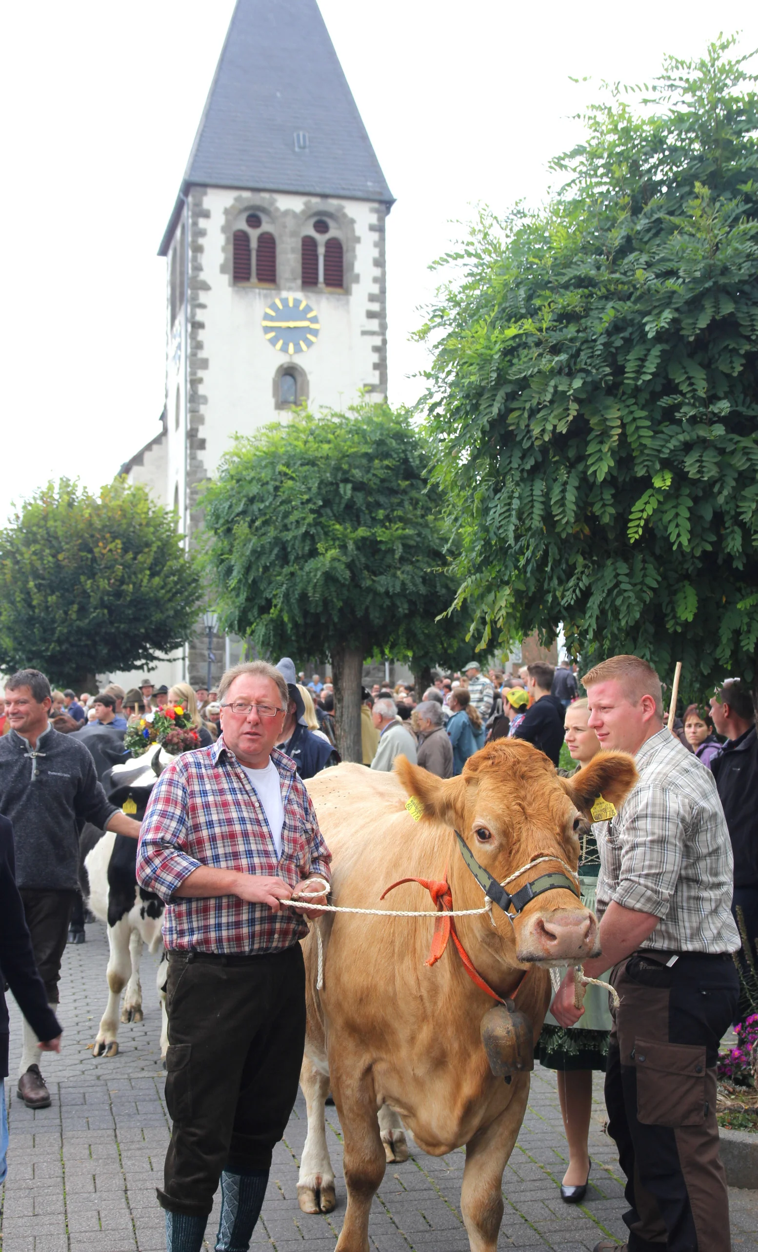 Almabtrieb 49.jpg