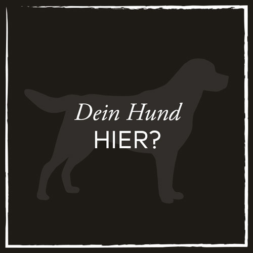 Dein-Hund-hier.jpg