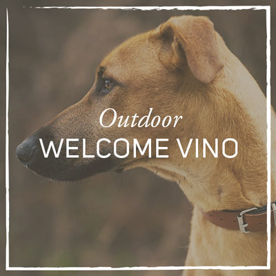 outdoor-welcome-vino.jpg