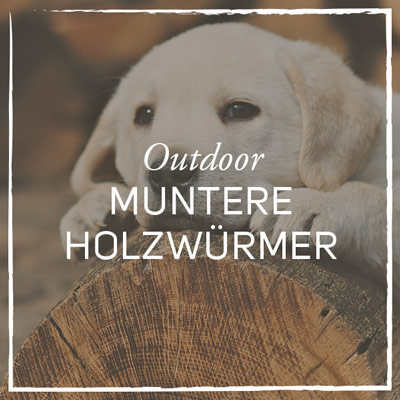 Galerie_Outdoor_Holzwuermer.jpg