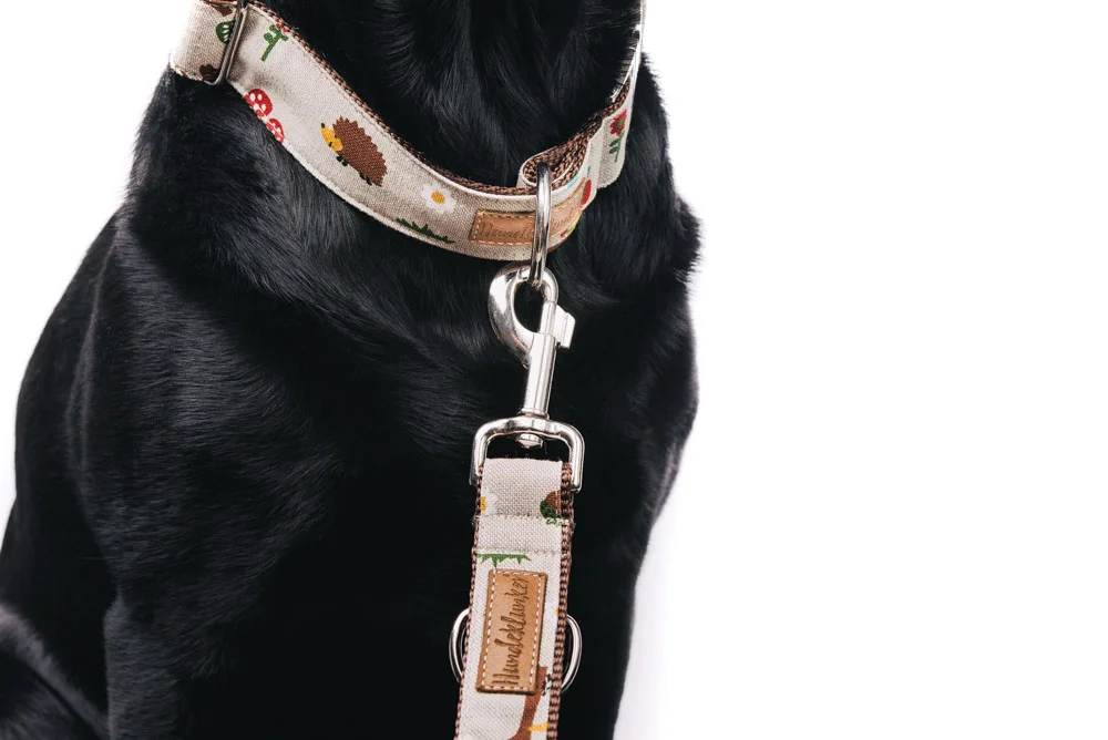 "Fuchs und Hase" von Hundeklunker als Set mit Leine und Halsband