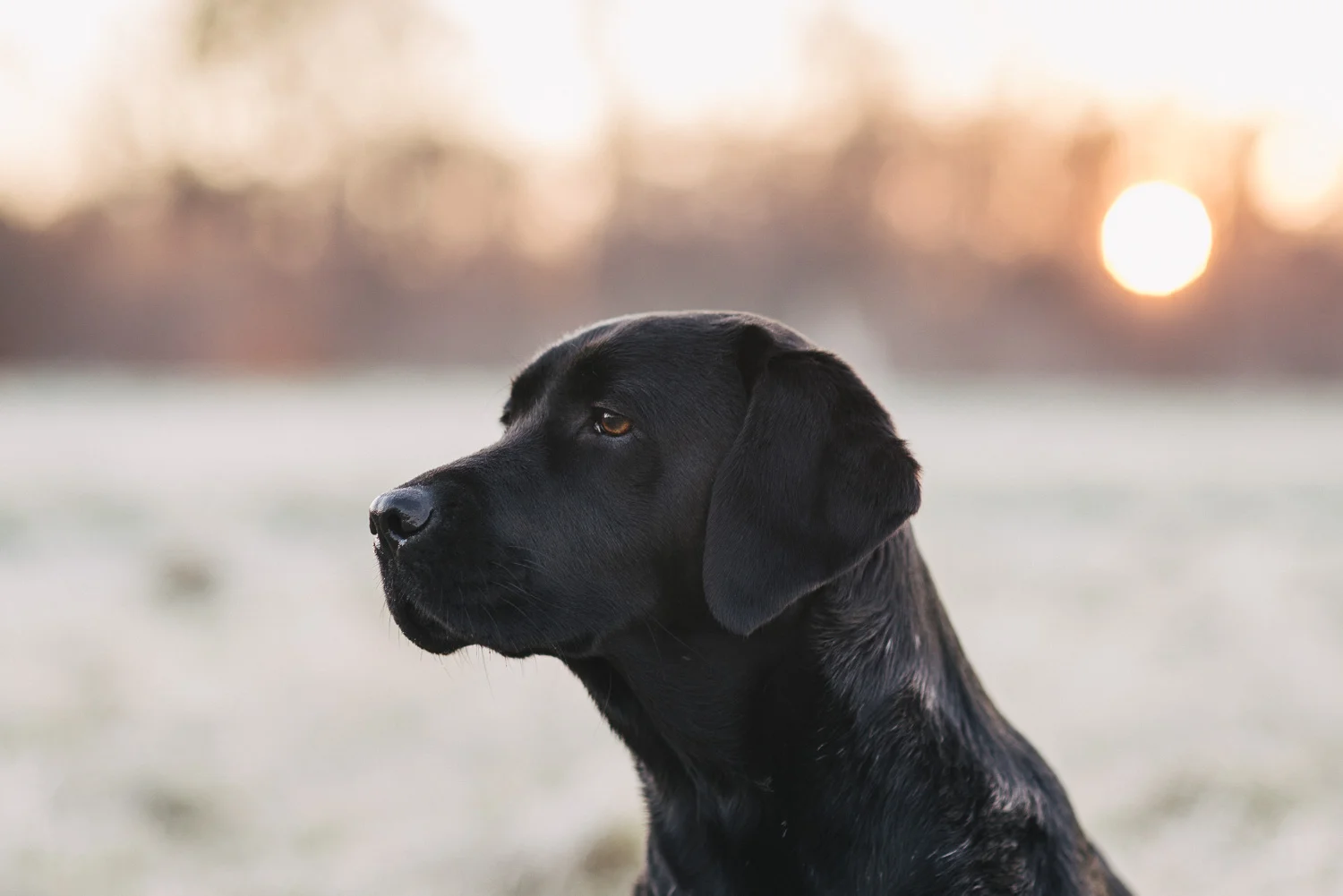 Nach dem Regen kommt immer die Sonne