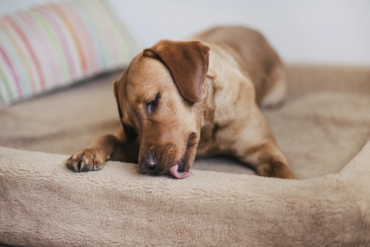 Das war viel zu wenig!