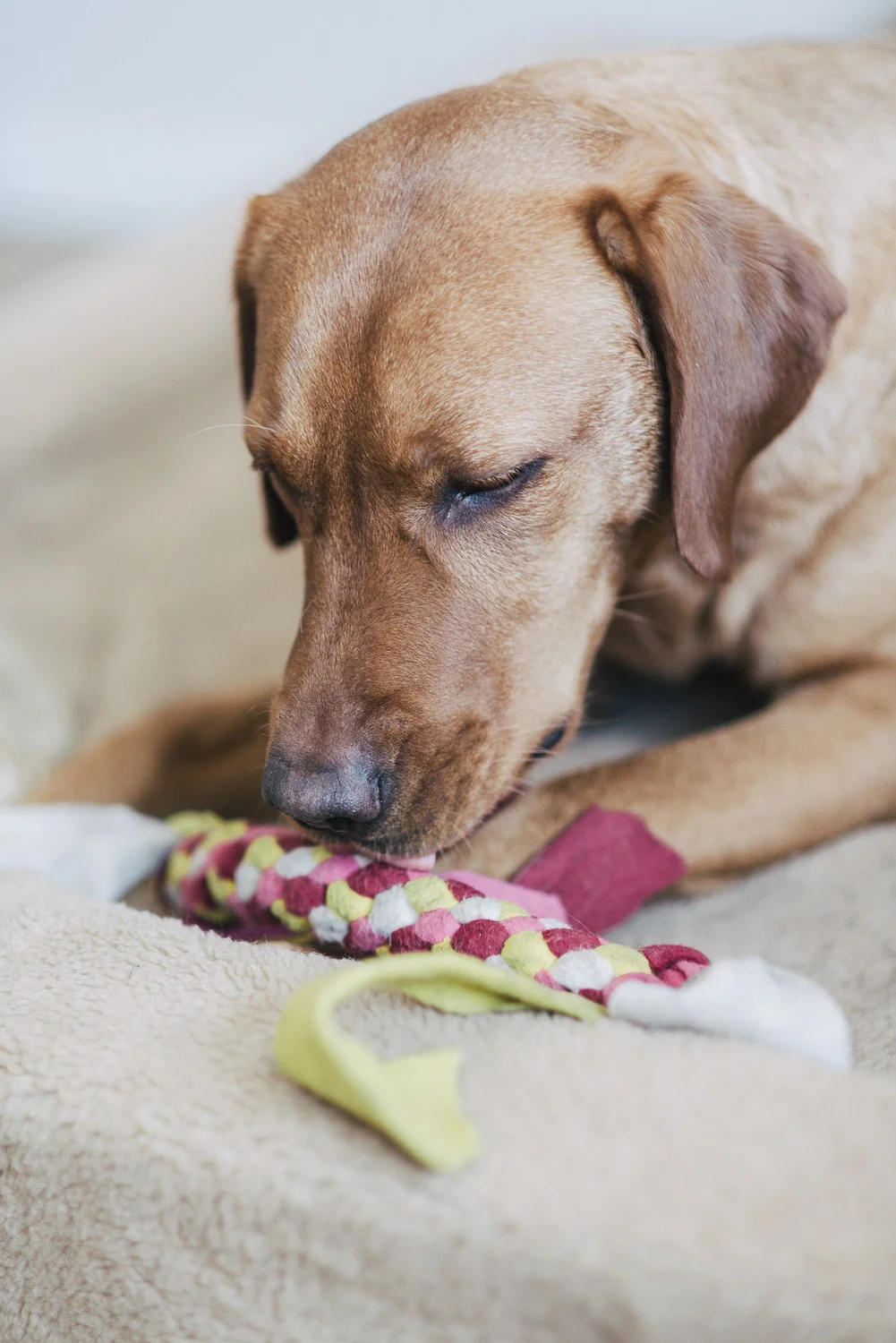 Heute nimmt es mir keiner weg...