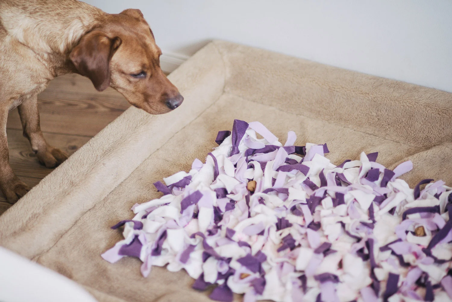 Ich kann sie schon riechen