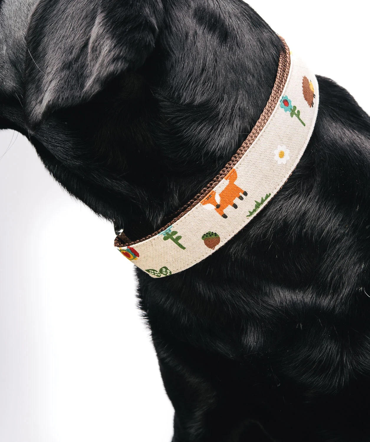 Wunderhübsche Sets von Hundeklunker