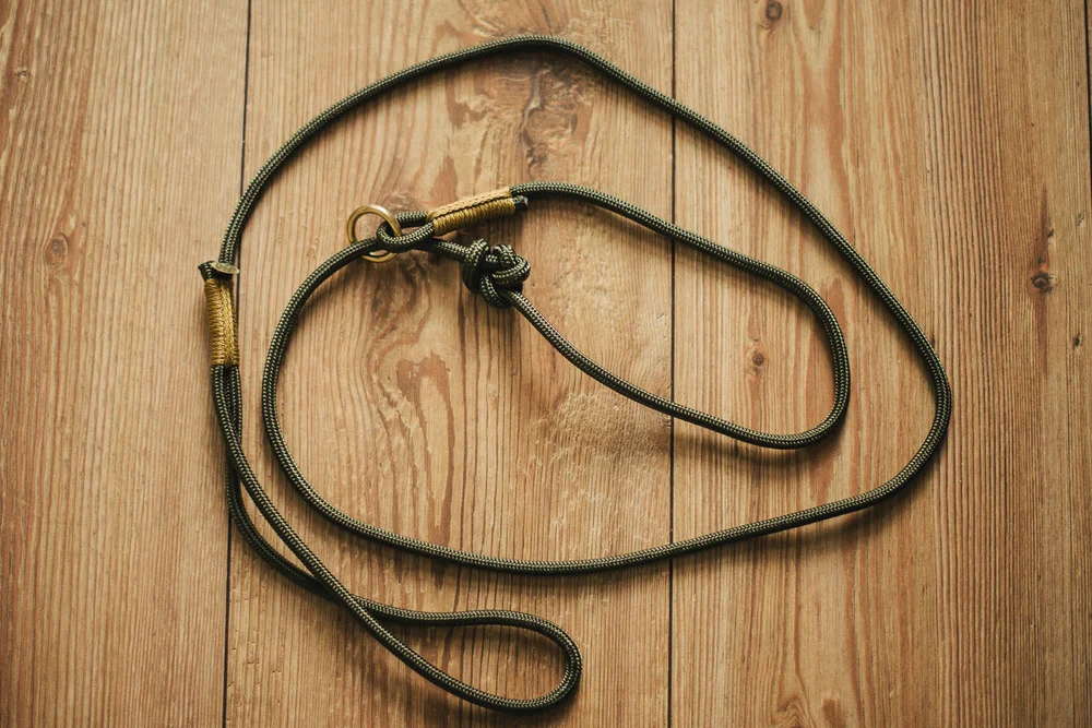 Retrieverleine und Armband von TauStil