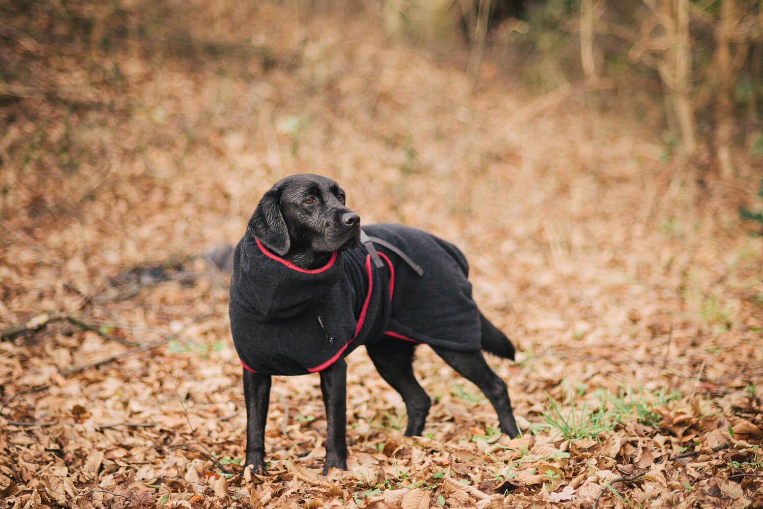 Dryup Cape von Actionfactory