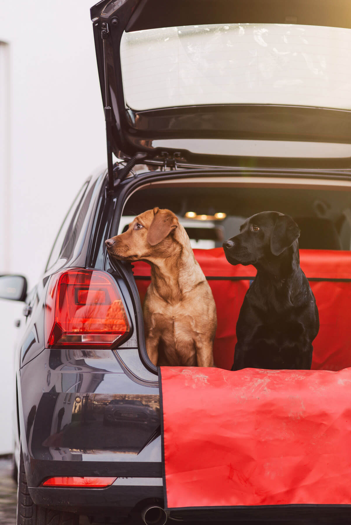 Kann man den Hatchbag Kofferraumschutz bedenkenlos in Leasing Autos  benutzen?