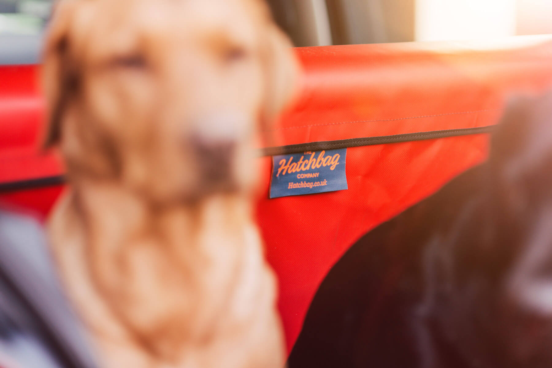 Kofferraumschutz von The Hatchbag Company · Pfotentick Hundeblog