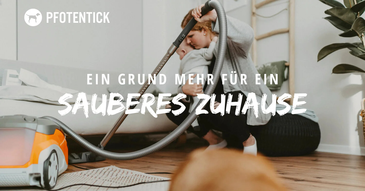 Ein Grund mehr für ein sauberes Zuhause