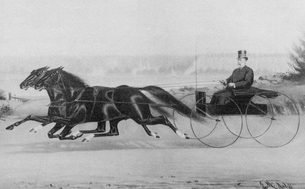  Shepherd F. Knapp driving his team of bays, Charlie Hogan and Sam Hill, circa 1870 