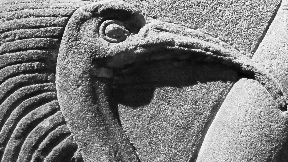 1909251_10203350138093837_6865369_o.jpg