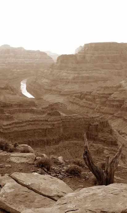 canyon.jpg