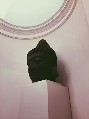11890034_975967929127827_4610542110930482744_o.jpg