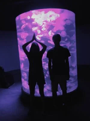 11952771_975968845794402_5761379093700508166_o.jpg