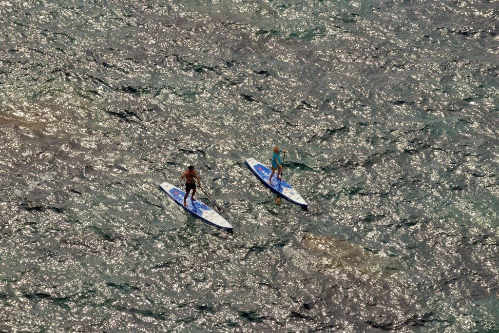DSC_6504.jpg