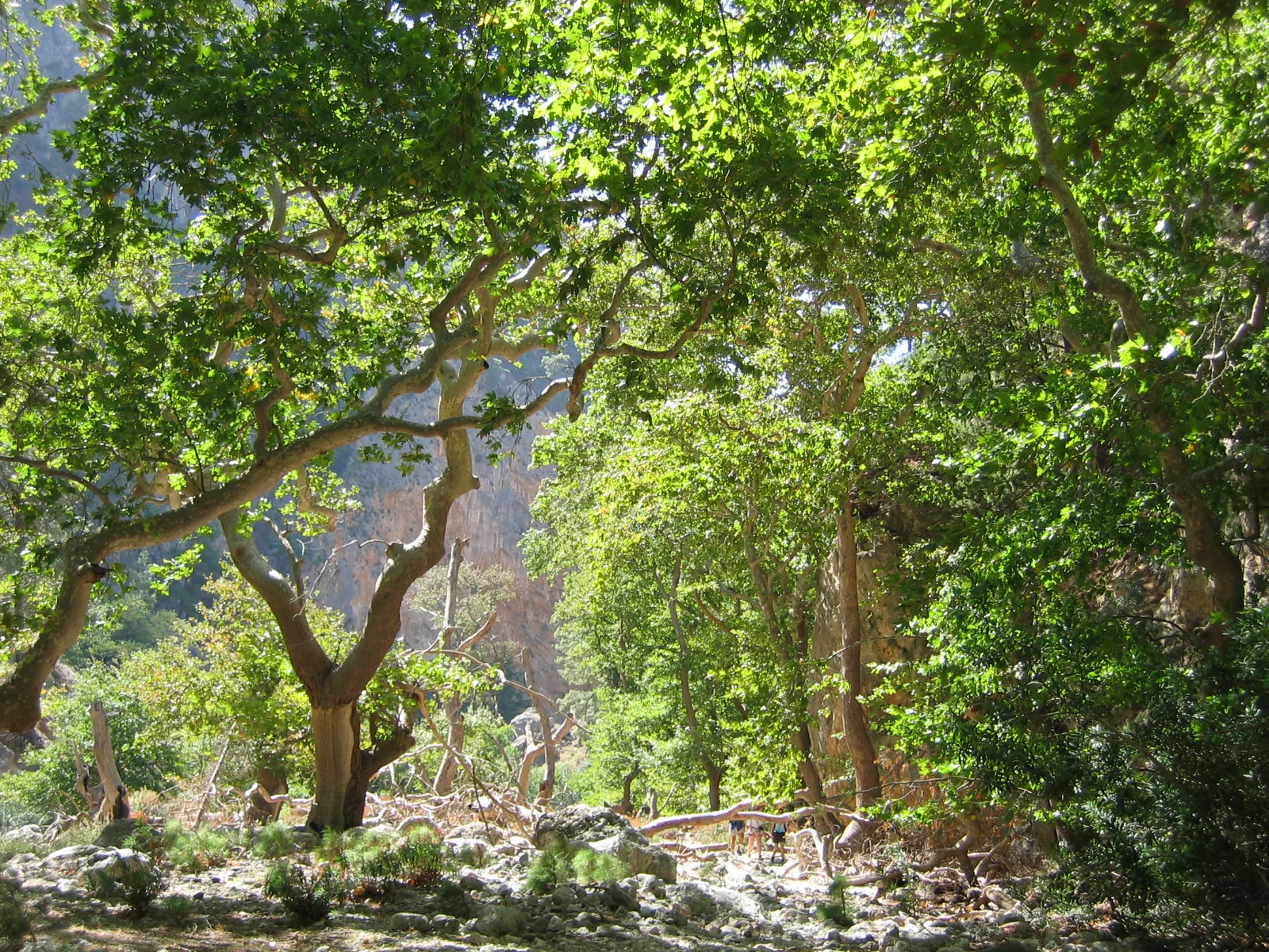 Agia Eirini gorge.jpg