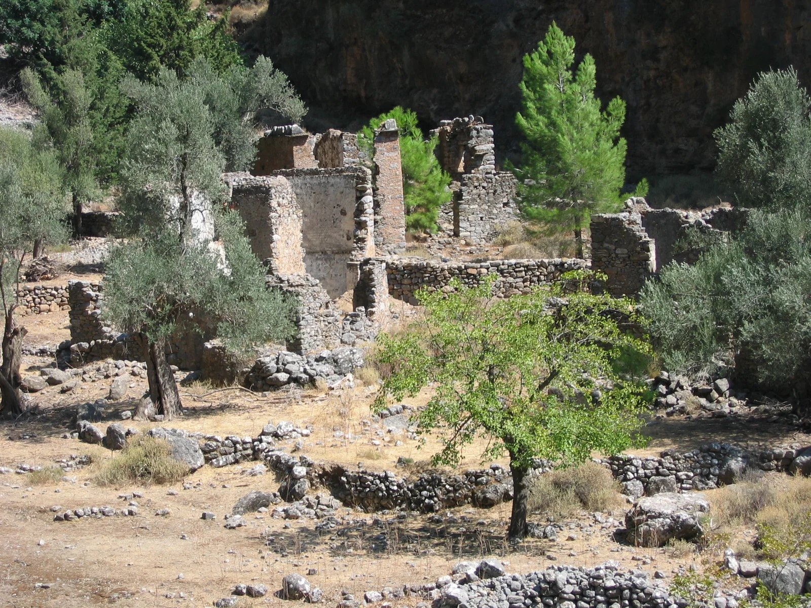 Samaria2.jpg